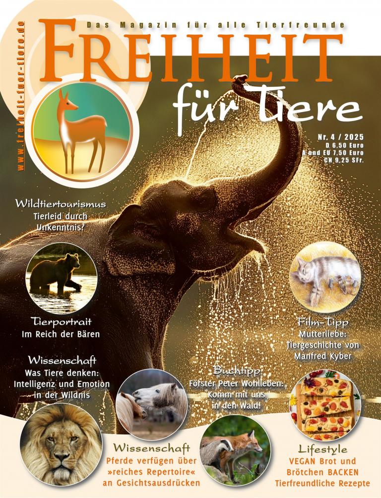 Freiheit für Tiere 4-2025 Titel